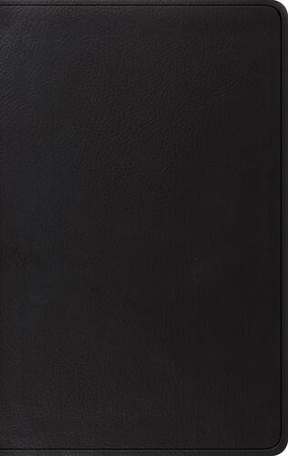 ESV Giant Print Value Personal Size Bible (TruTone, Black) - Imitation Leather