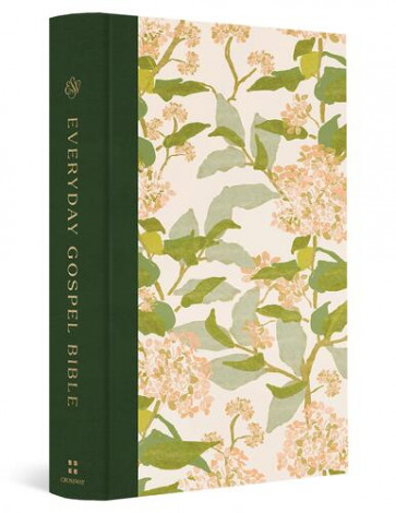 ESV Everyday Gospel Bible, Artist Series - Imitation Leather With ribbon marker(s)