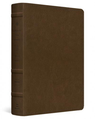 ESV Applying the Gospel Study Bible for Men (TruTone, Brown) - Imitation Leather With ribbon marker(s)