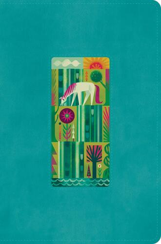 ESV The Biggest Story Holy Bible for Kids (TruTone, Teal, Waterfall Design) - Imitation Leather With ribbon marker(s)