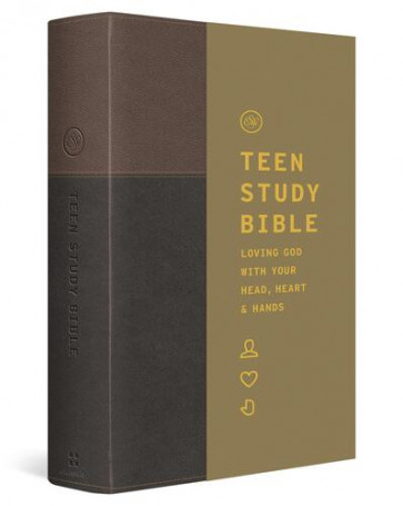 ESV Teen Study Bible (TruTone, Slate/Umber) - Imitation Leather With ribbon marker(s)