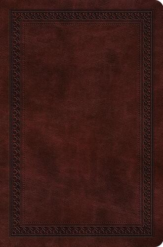 ESV Value Compact Bible (TruTone, Mahogany, Border Design) - Imitation Leather