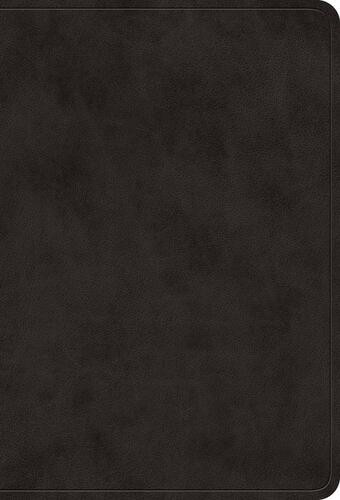 ESV Large Print Value Compact Bible (TruTone, Black) - Imitation Leather