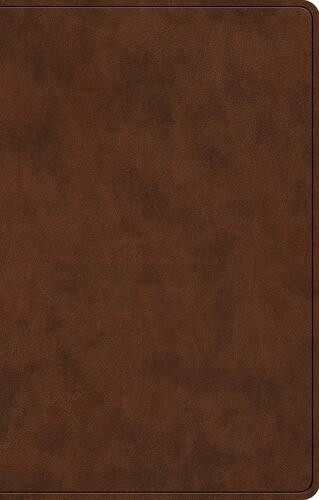 ESV Premium Gift Bible (TruTone, Brown) - Imitation Leather