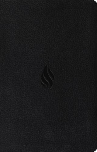 ESV Premium Gift Bible (TruTone, Midnight, Flame Design) - Imitation Leather