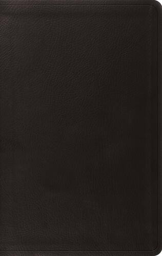 ESV Value Thinline Bible, Red Letter (TruTone, Black) - Imitation Leather