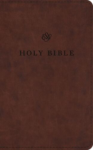 ESV Premium Church Bible (TruTone, Brown) - Imitation Leather With ribbon marker(s)