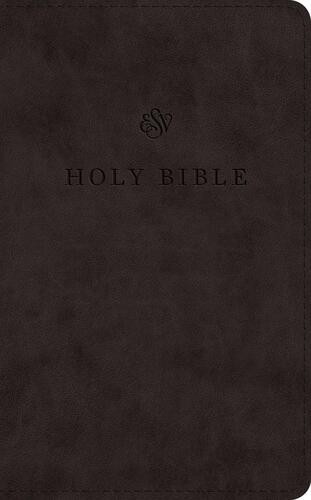 ESV Premium Church Bible (TruTone, Black) - Imitation Leather With ribbon marker(s)