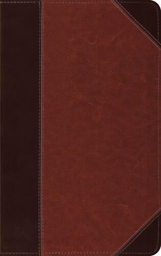 ESV Thinline Bible, Red Letter (TruTone, Brown/Cordovan, Portfolio Design) - Imitation Leather Multicolor With ribbon marker(s)