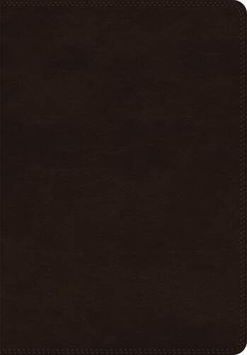 ESV Giant Print Bible, Red Letter (TruTone, Deep Brown) - Imitation Leather Multicolor With ribbon marker(s)