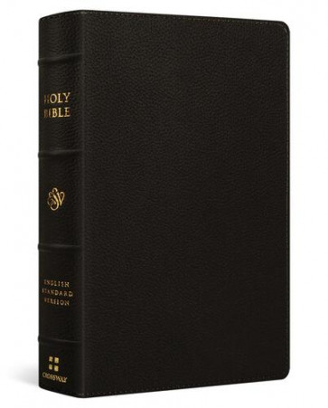 ESV Giant Print Personal Size Bible, Red Letter (Buffalo Leather, Deep Brown) - Genuine Leather With ribbon marker(s)