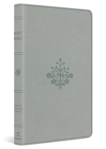 ESV Large Print Value Thinline Bible (TruTone, River Stone, Branch Design) - Imitation Leather