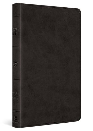 ESV Large Print Value Thinline Bible (TruTone, Black) - Imitation Leather