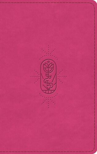 ESV Kid's Bible, Thinline, Red Letter (TruTone, Berry, The True Vine Design) - Imitation Leather Multicolor With ribbon marker(s)