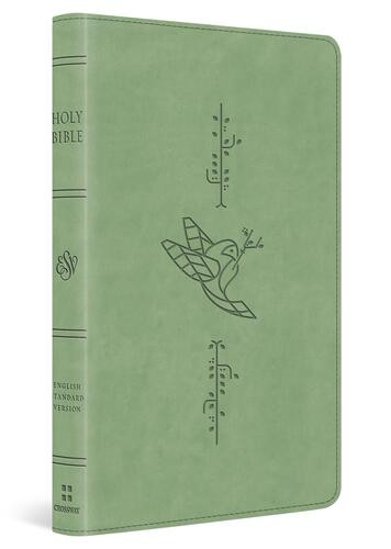 ESV Kid's Bible, Thinline, Red Letter (TruTone, Light Green, Bird of the Air Design) - Imitation Leather Multicolor With ribbon marker(s)