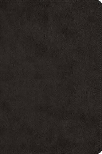 ESV Large Print Bible (TruTone, Black) - Imitation Leather With ribbon marker(s)