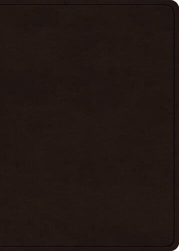 ESV Large Print Value Personal Size Bible (TruTone, Deep Brown) - Imitation Leather