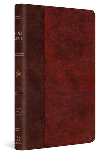 ESV Large Print Thinline Bible, Red Letter (TruTone, Burgundy/Red, Timeless Design) - Imitation Leather With ribbon marker(s)