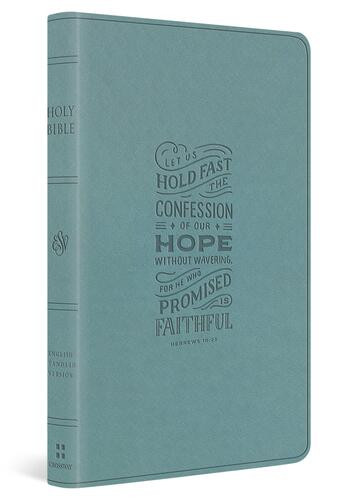 ESV Large Print Value Thinline Bible (TruTone, Paris Sky, Hebrews 10:23 Design) - Imitation Leather