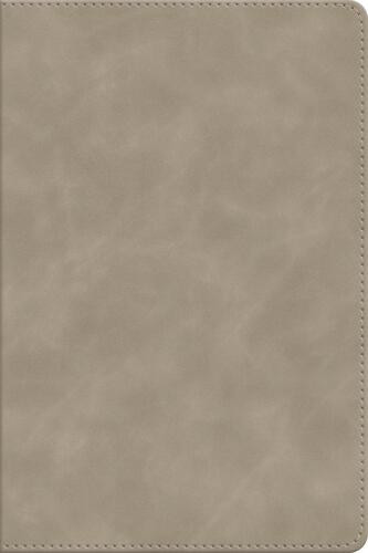 ESV Beholding Christ Bible - Imitation Leather With ribbon marker(s)
