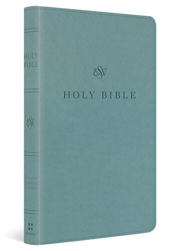 ESV Premium Church Bible (TruTone, Paris Sky) - Imitation Leather With ribbon marker(s)