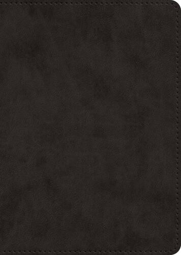 ESV New Testament, Large Print (TruTone, Black) - Imitation Leather With ribbon marker(s)