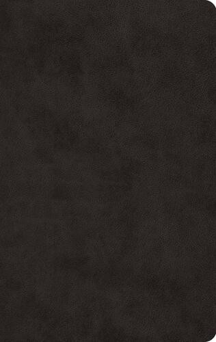 ESV Large Print Value Thinline Bible, Red Letter (TruTone, Black) - Imitation Leather