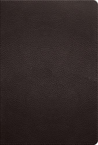 ESV Men's Study Bible (Buffalo Leather, Deep Brown) - Imitation Leather With ribbon marker(s)