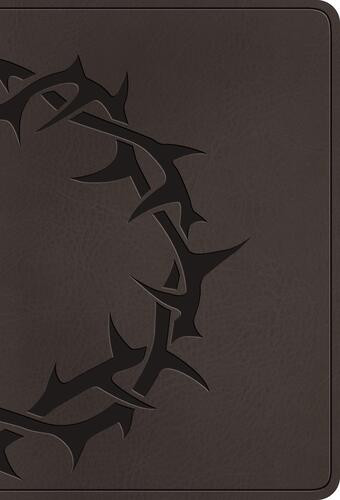ESV Large Print Value Compact Bible, Red Letter (TruTone, Charcoal, Crown Design) - Imitation Leather