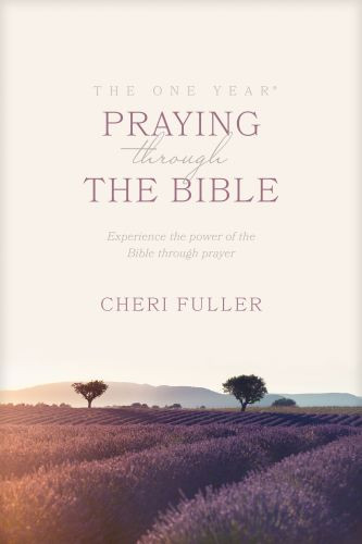 One Year Praying through the Bible - Softcover