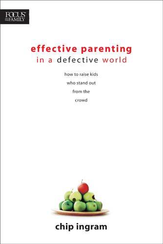Effective Parenting in a Defective World - Softcover