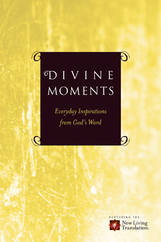 Divine Moments - Softcover