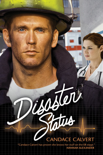 Disaster Status - Softcover