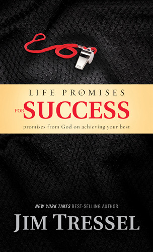 Life Promises for Success - Hardcover