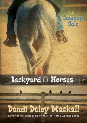 Cowboy Colt - Softcover