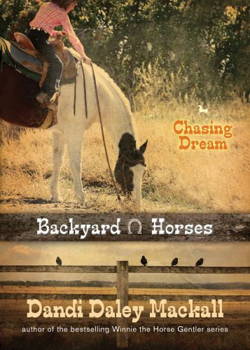 Chasing Dream - Softcover