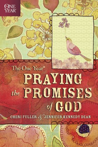 One Year Praying the Promises of God - Softcover