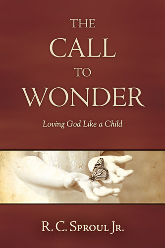 The Call to Wonder - Softcover