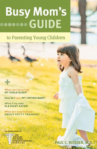Busy Mom's Guide to Parenting Young Children - Softcover