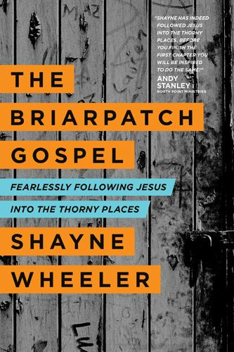 The Briarpatch Gospel - Softcover