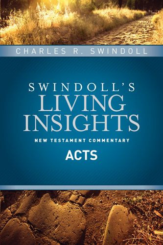 Insights on Acts - Hardcover