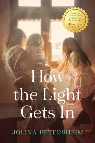 How the Light Gets In - Softcover