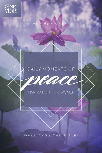 One Year Daily Moments of Peace - Softcover