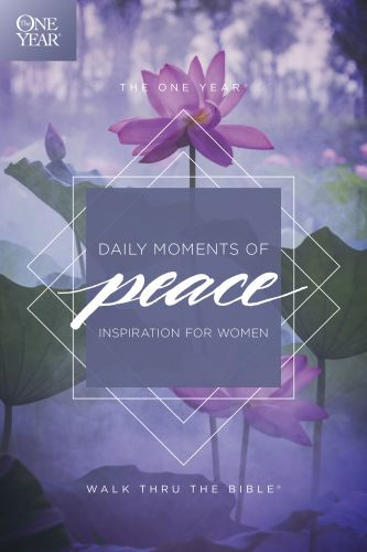 One Year Daily Moments of Peace - Softcover