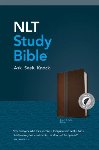 NLT Study Bible, TuTone (LeatherLike, Brown/Slate, Indexed, Red Letter) - LeatherLike Slate With thumb index and ribbon marker(s)