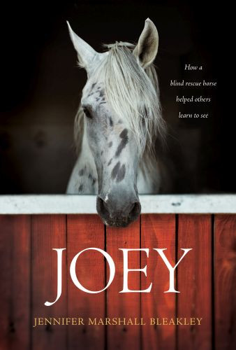 Joey - Hardcover