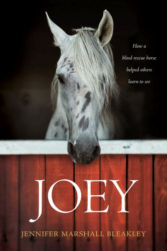Joey - Softcover
