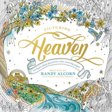 Picturing Heaven - Softcover