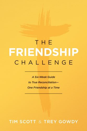 The Friendship Challenge - Softcover