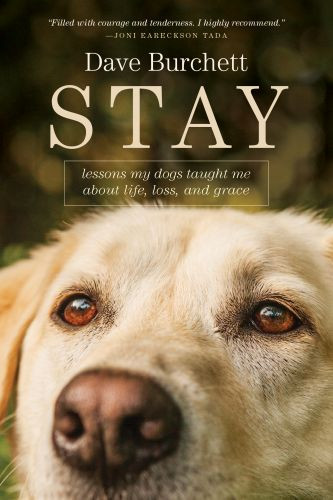 Stay - Softcover